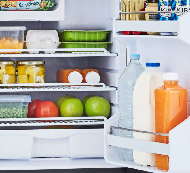 Close-view of Bushman DC85-X with fruits, vegetable and drinks